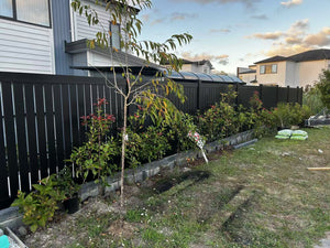 Custom Aluminium Fencing NZ | Premium Privacy Screens by Homelovers